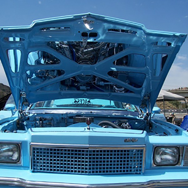 1978-80 Monte Carlo Hood